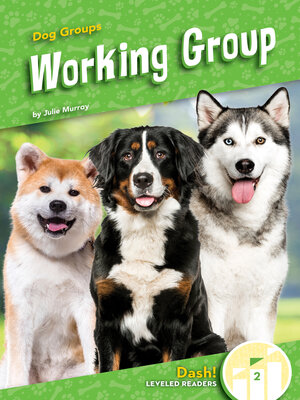 cover image of Working Group
